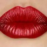 Naughty America PREMIUM logo